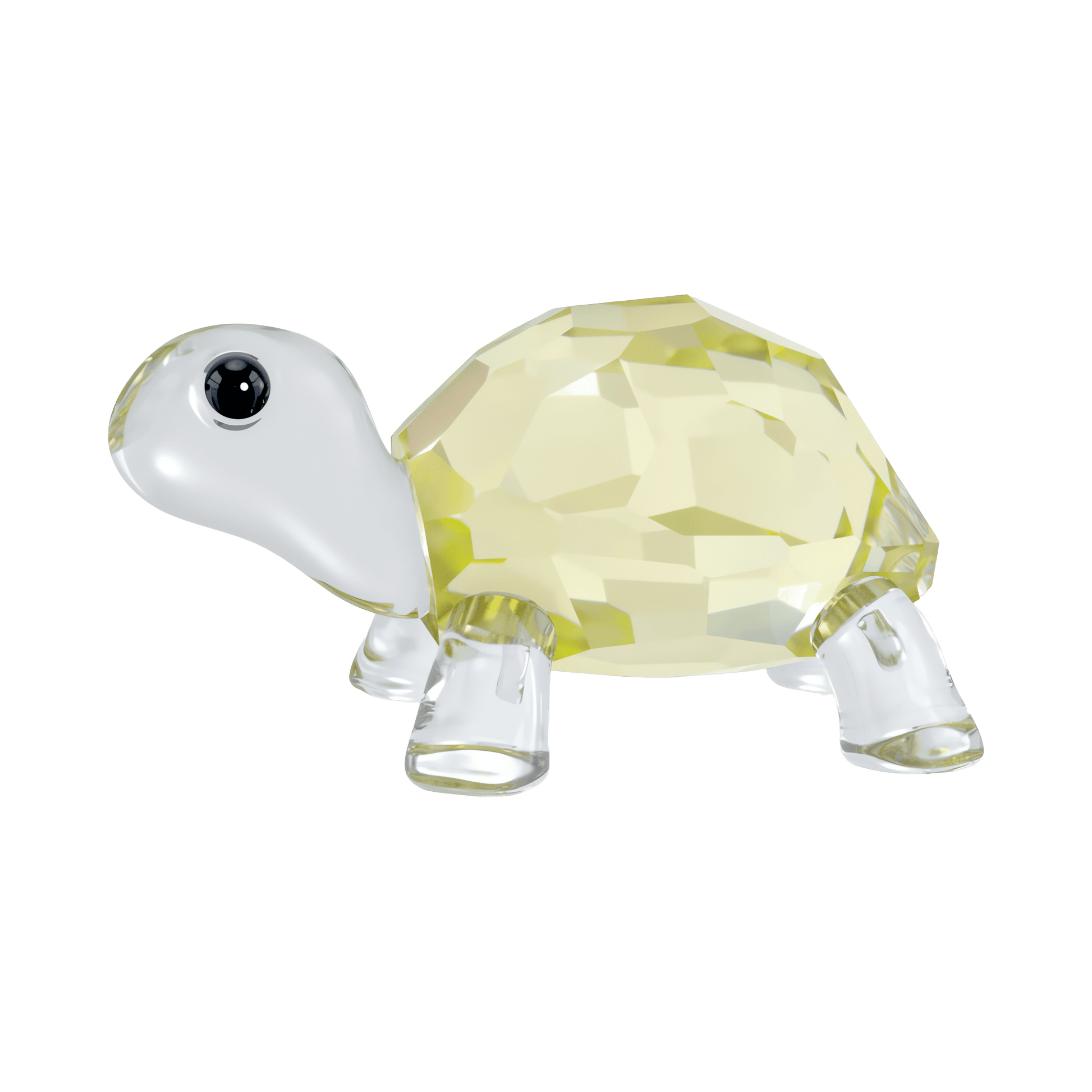 Idyllia Baby Tortoise