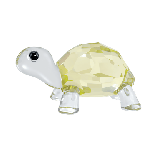 Idyllia Baby Tortoise