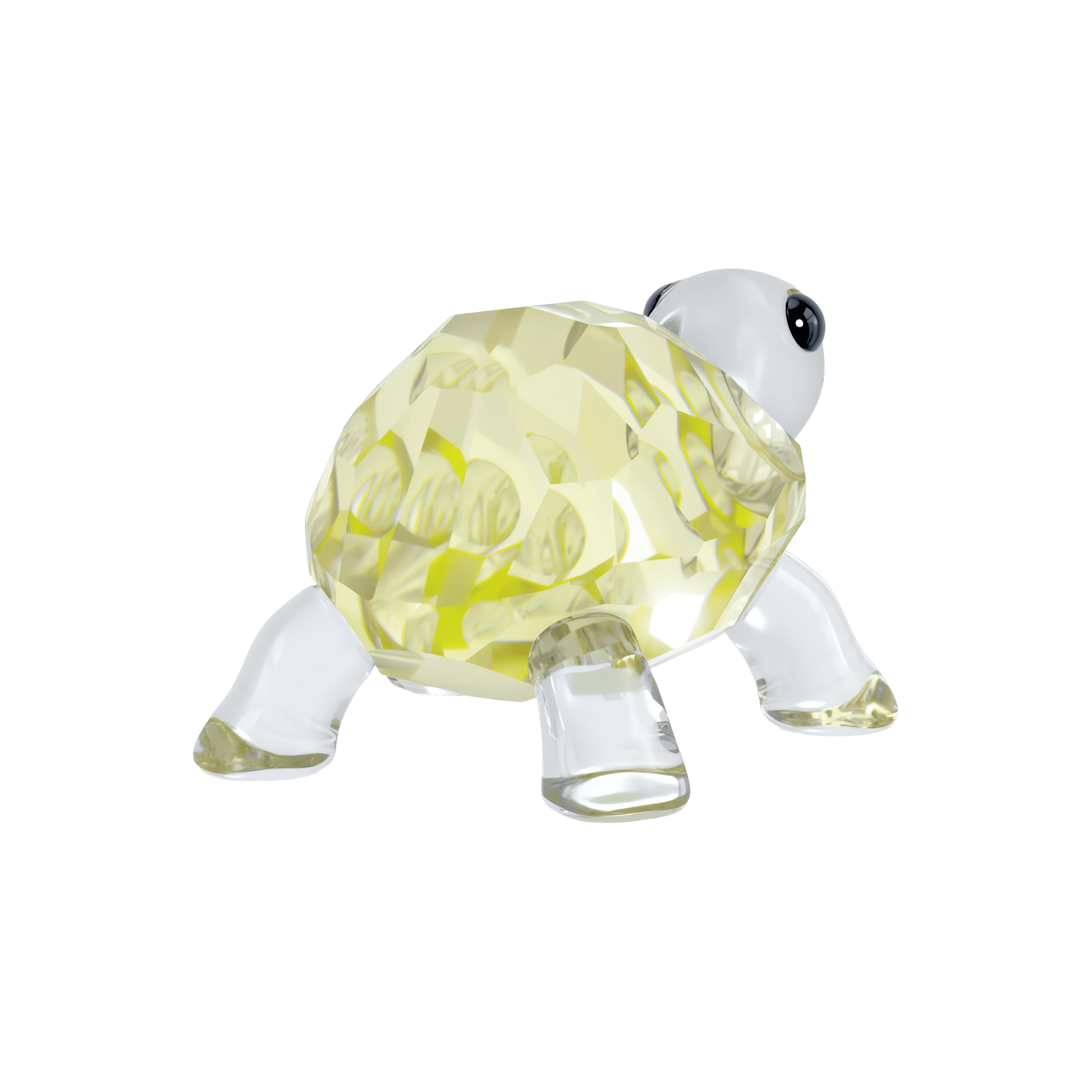 Idyllia Baby Tortoise