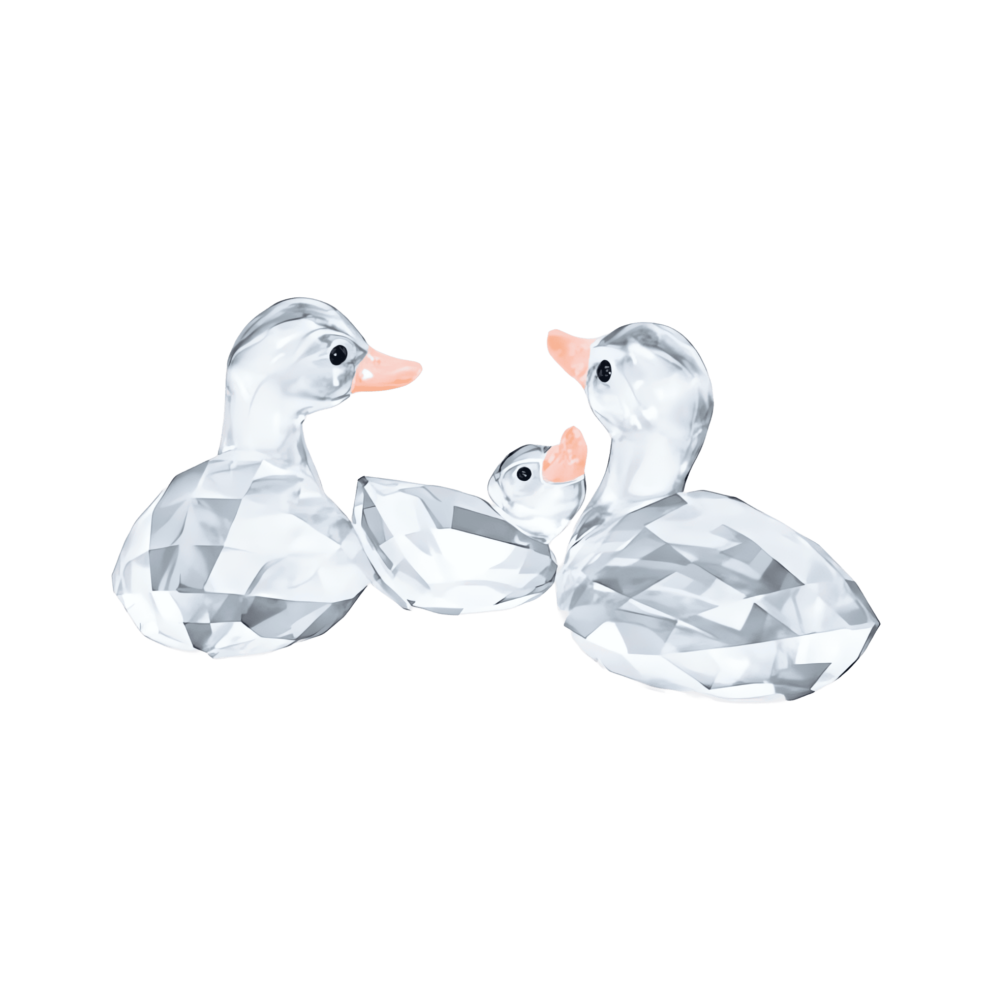 Ducks