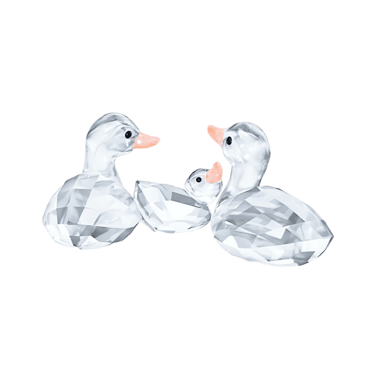 Ducks