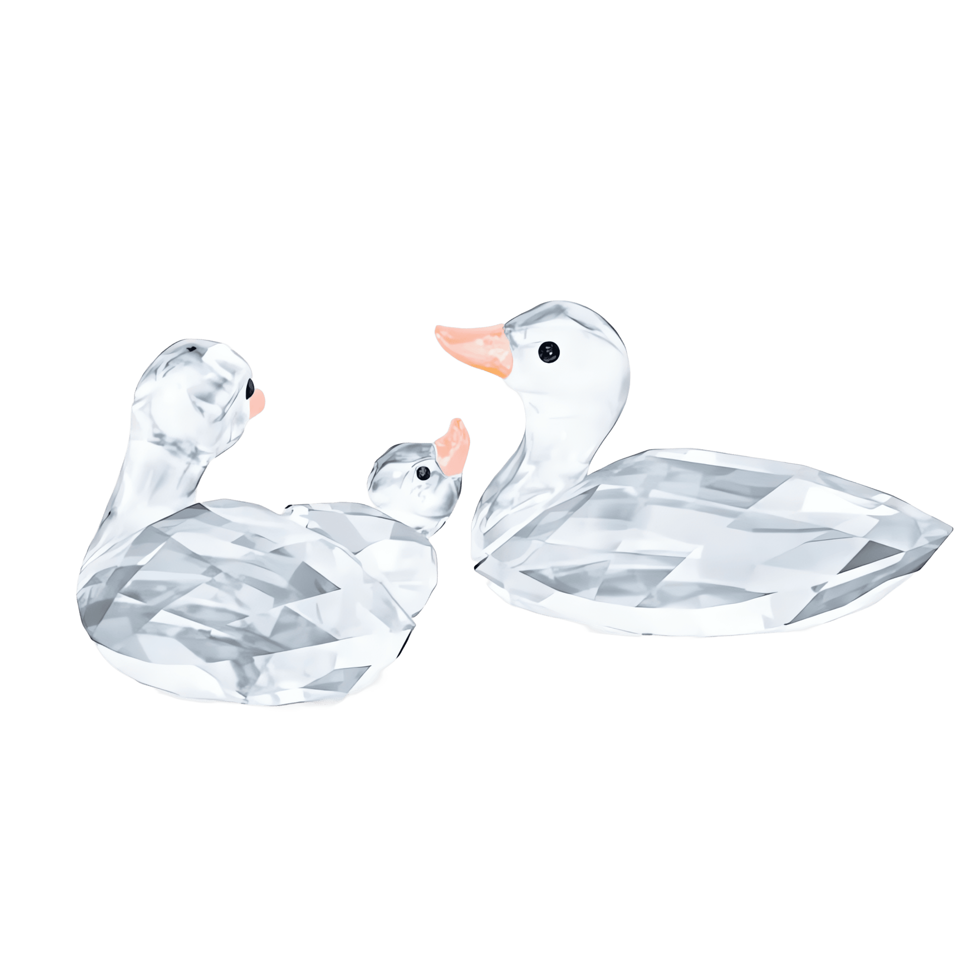 Ducks