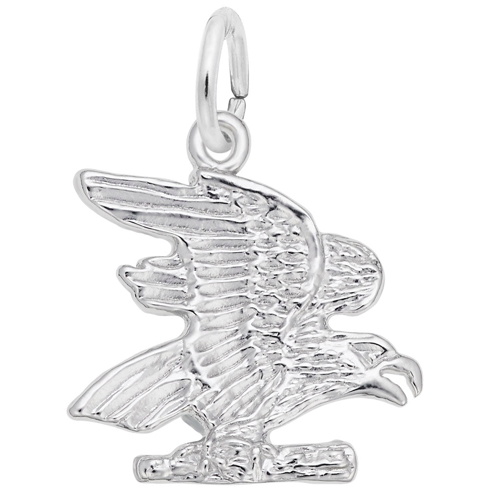 Elegant Eagle Charm for Animal Lovers - Perfect Gift for Bird Enthusiasts 5796