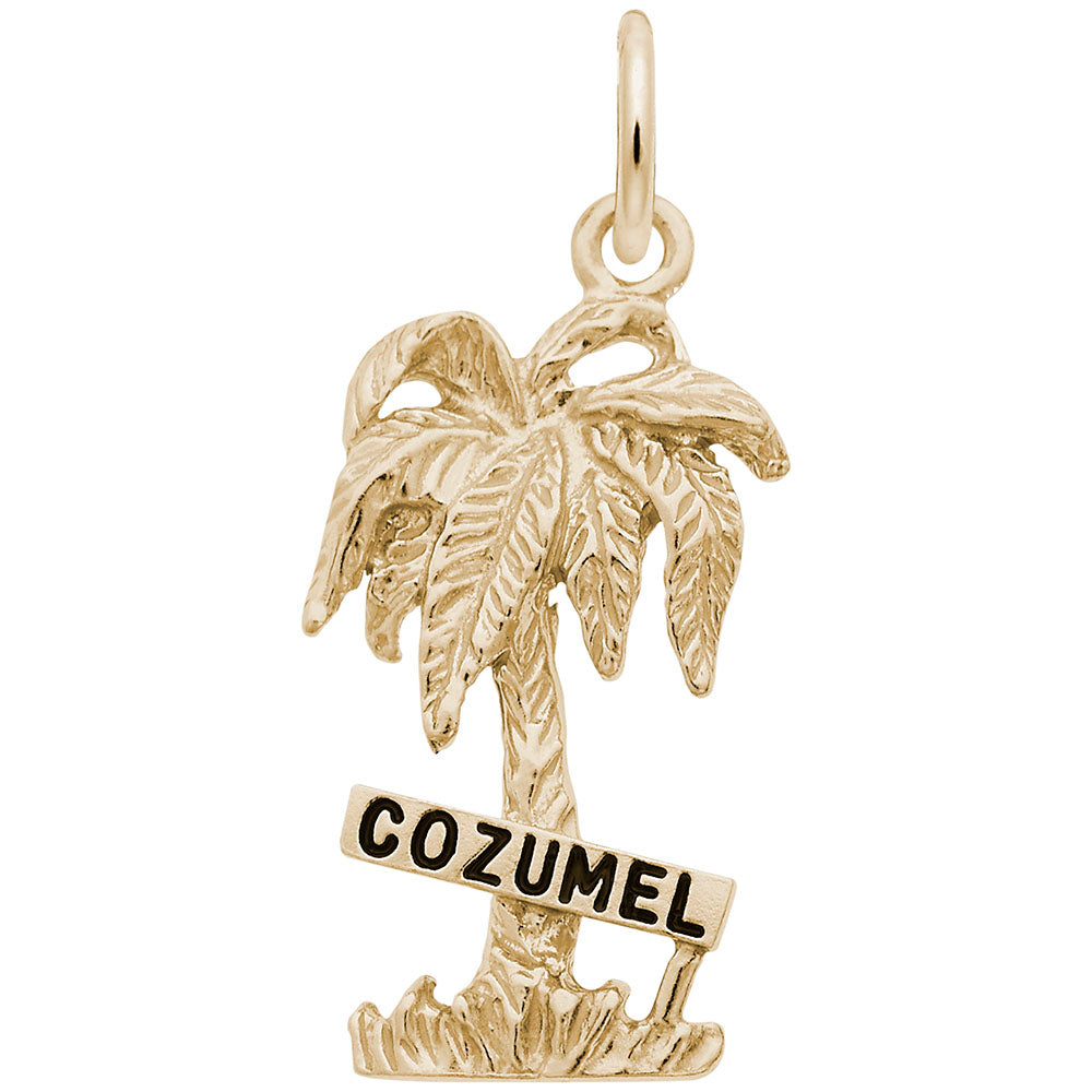 Cozumel Palm Tree Charm - Tropical Travel Souvenir Jewelry 6155