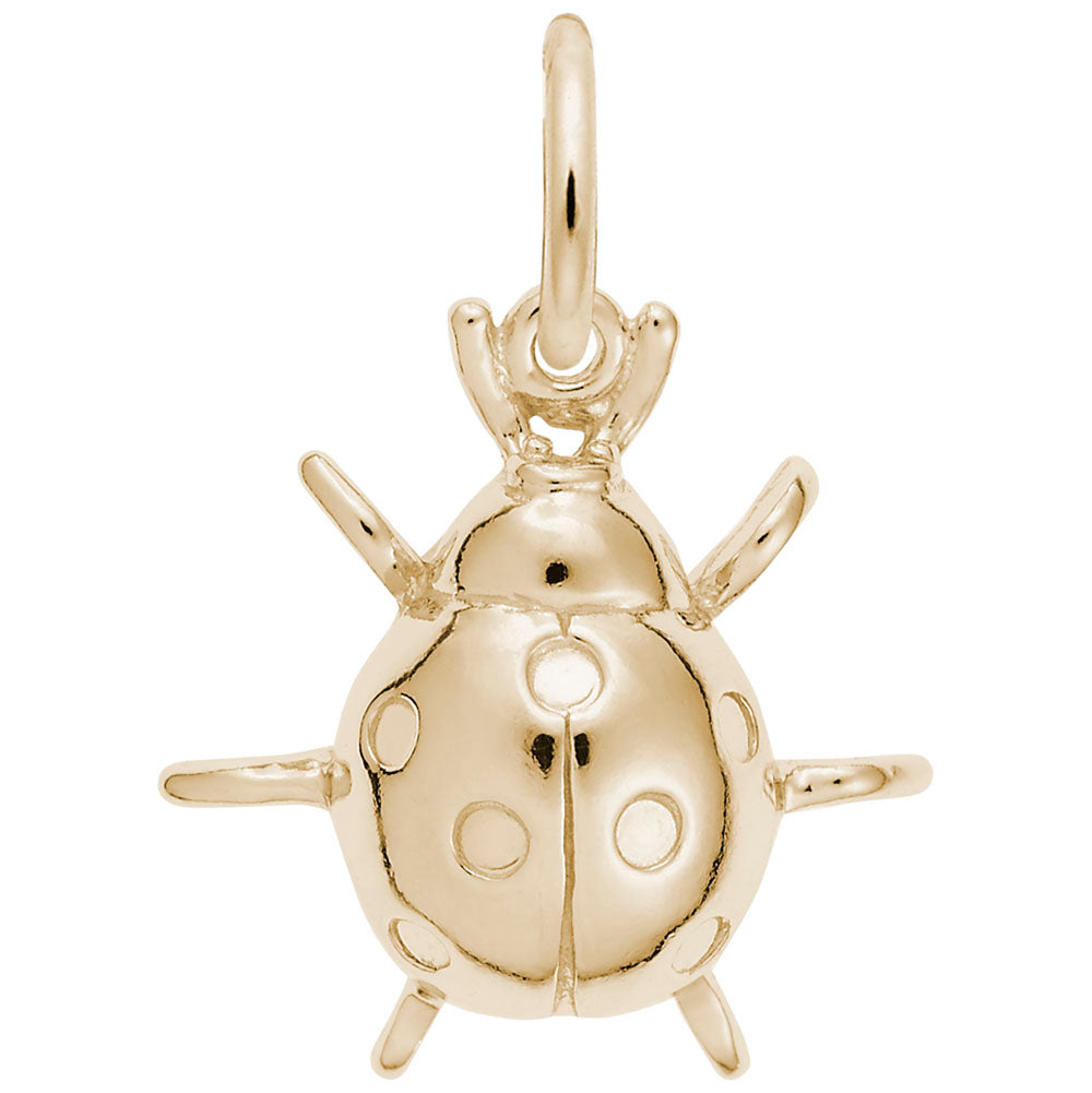 Ladybug Charm for Good Luck in Gaming - Rembrandt Charms 6384