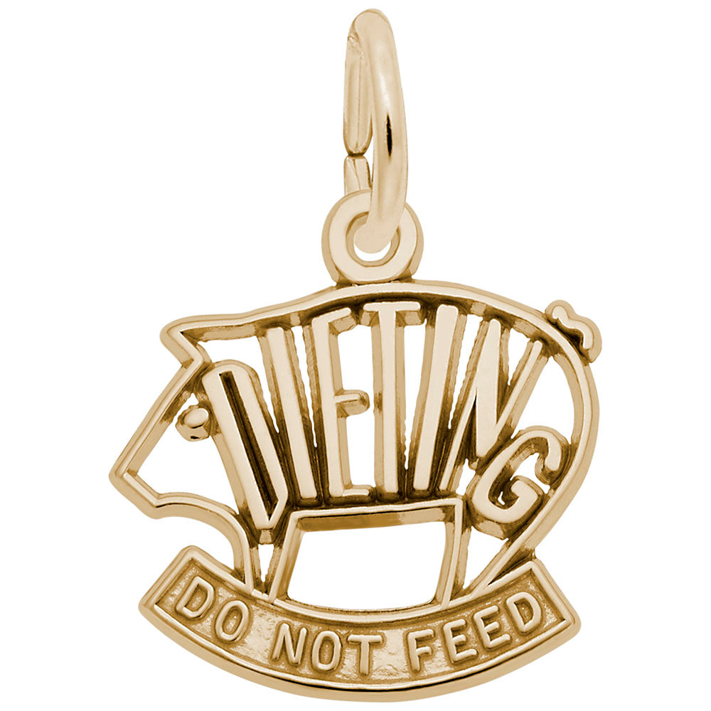 Motivational Dieting Charm for Weight Loss & Healthy Living 6440