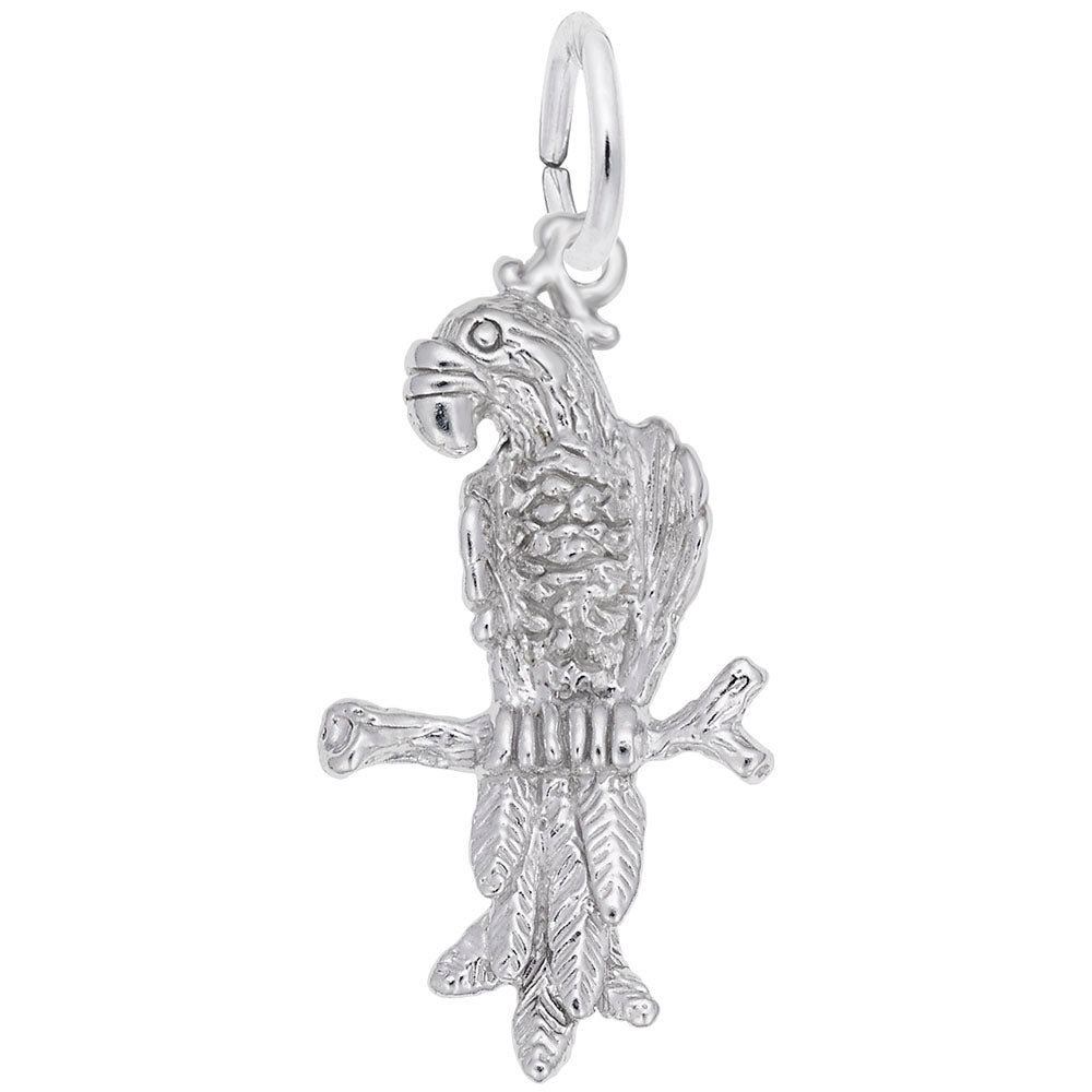 Colorful Macaw Parrot Charm for Animal Lovers - Unique Jewelry 6487