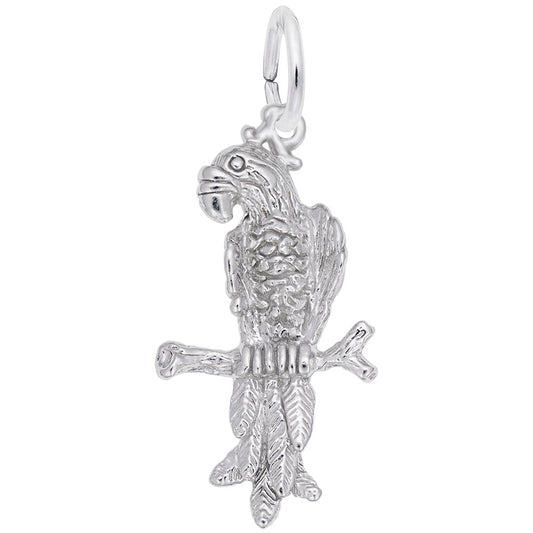 Colorful Macaw Parrot Charm for Animal Lovers - Unique Jewelry 6487