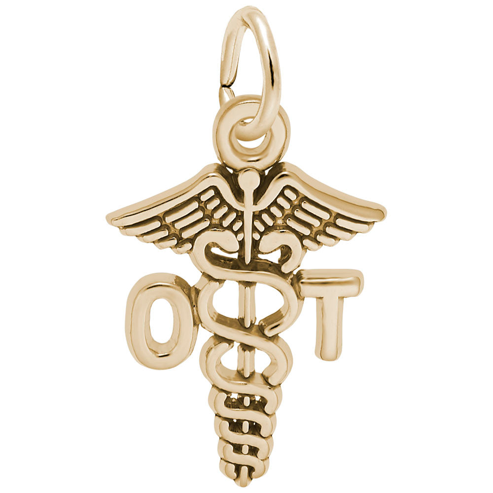Occupational Therapist Caduceus Charm for Medical Professionals 6545
