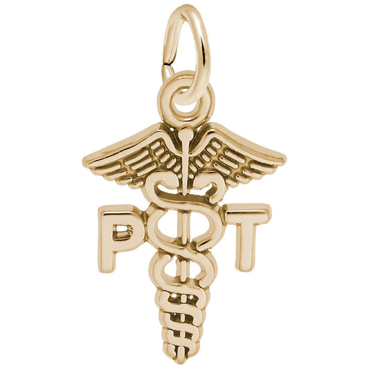 Physical Therapist Caduceus Charm - Medical Profession Jewelry 6546