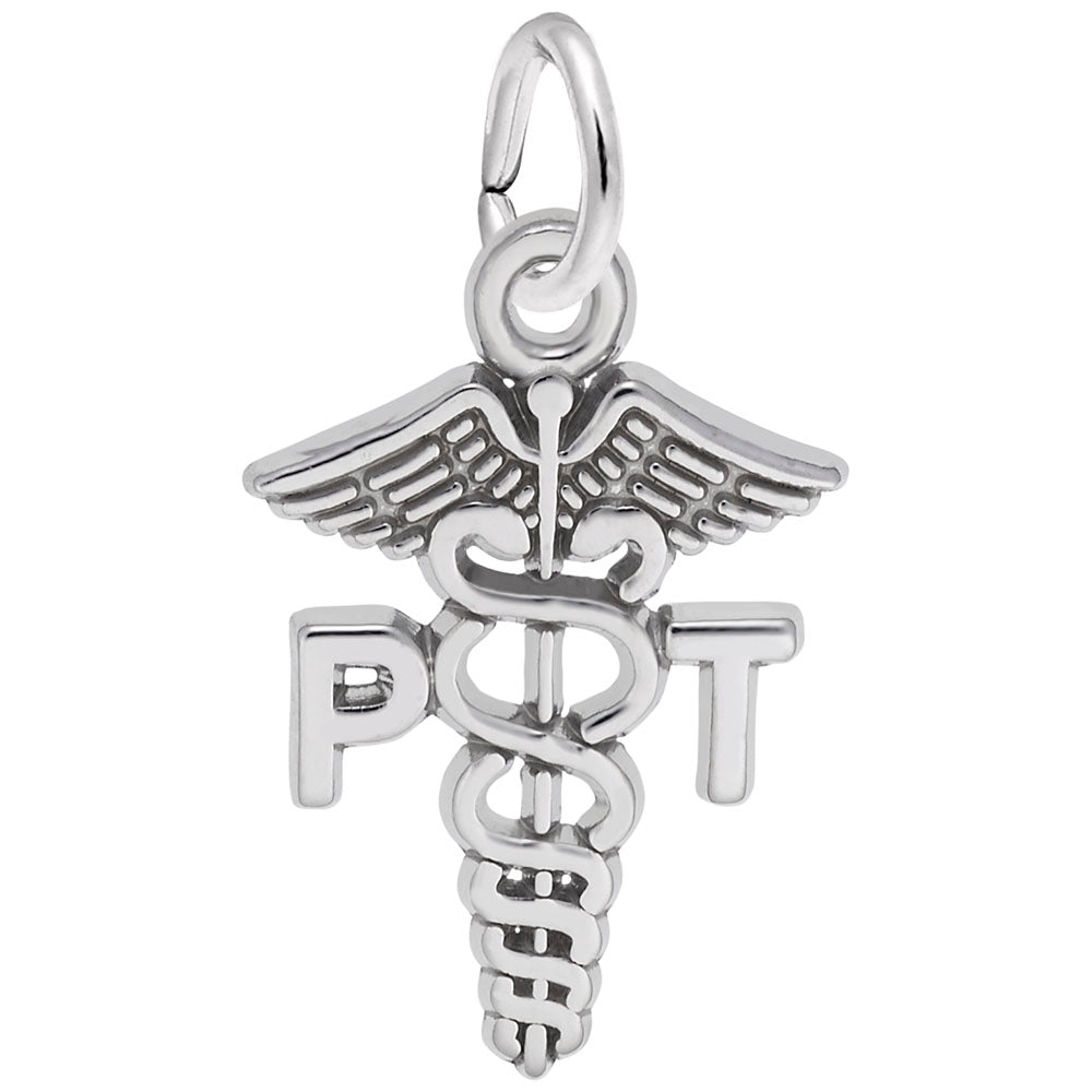 Physical Therapist Caduceus Charm - Medical Profession Jewelry 6546