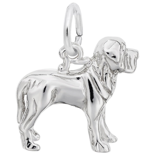 Mastiff Dog Charm - Unique Pet Jewelry for Dog Lovers 6591