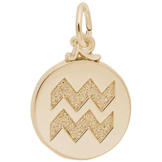 Aquarius Zodiac Charm - Symbol of the Sky for Astrology Lovers 6761
