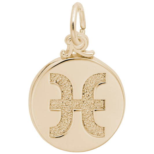 Pisces Symbol of the Sky Charm