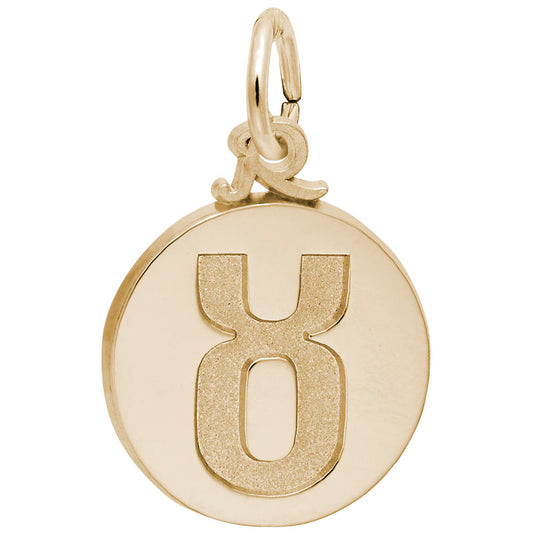 Taurus Symbol of the Sky Charm