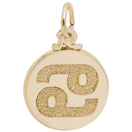 Cancer Symbol of the Sky Charm