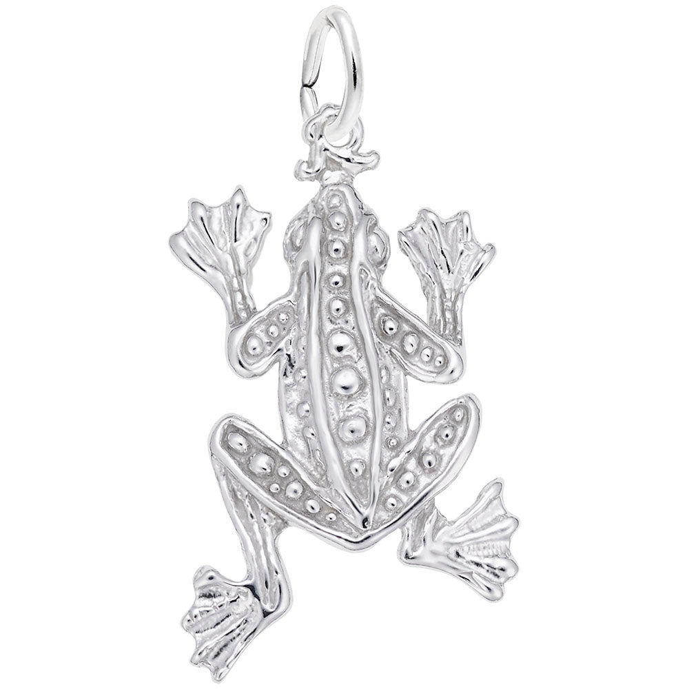 Leopard Frog Charm for Home & Garden Decor - Unique Collectible 7731