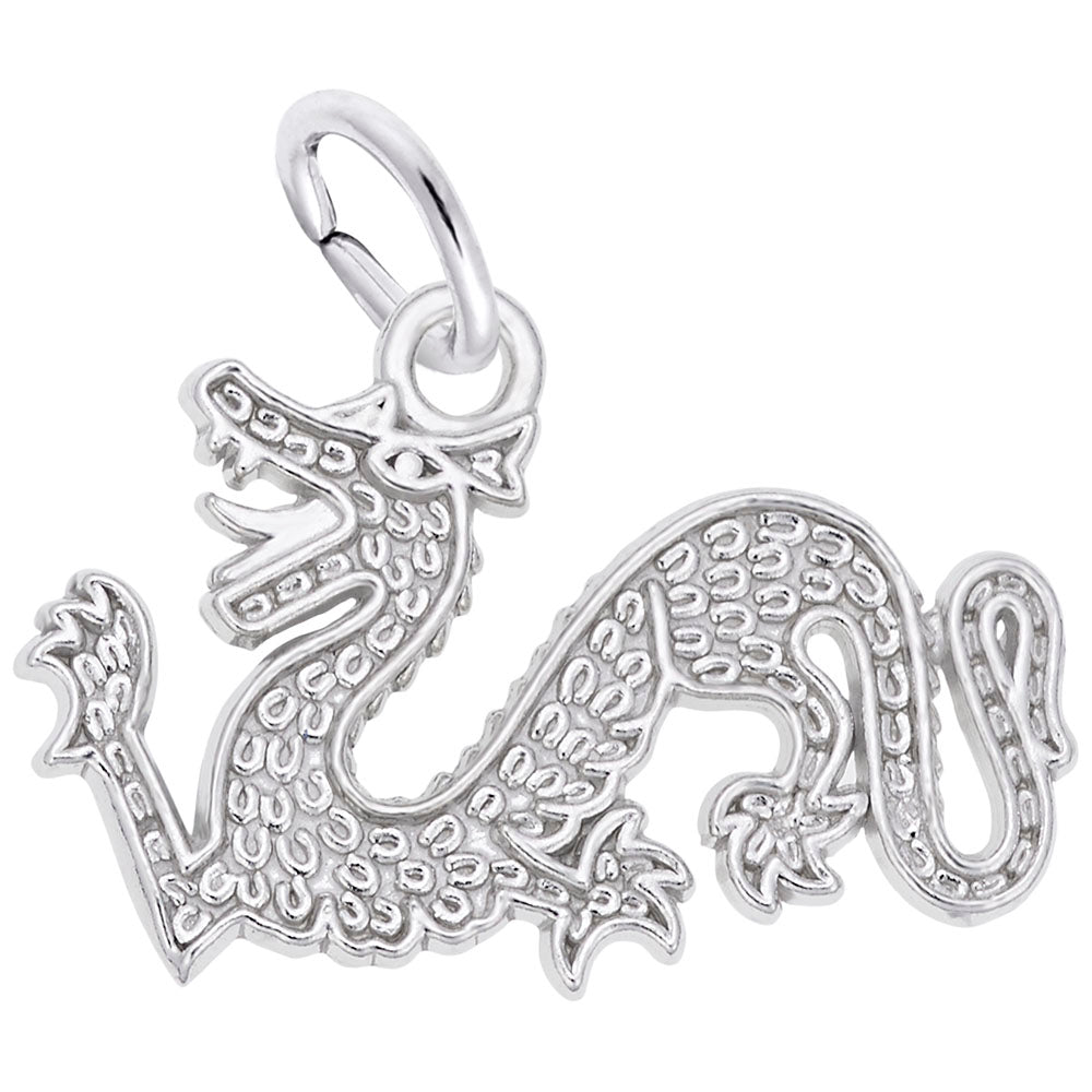 Flat Chinese Serpent Dragon Charm for Pet Lovers & Collectors 7767