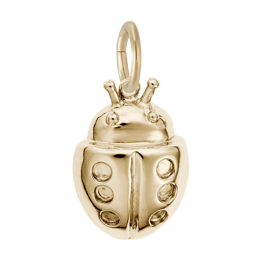 Lucky Ladybug Charm