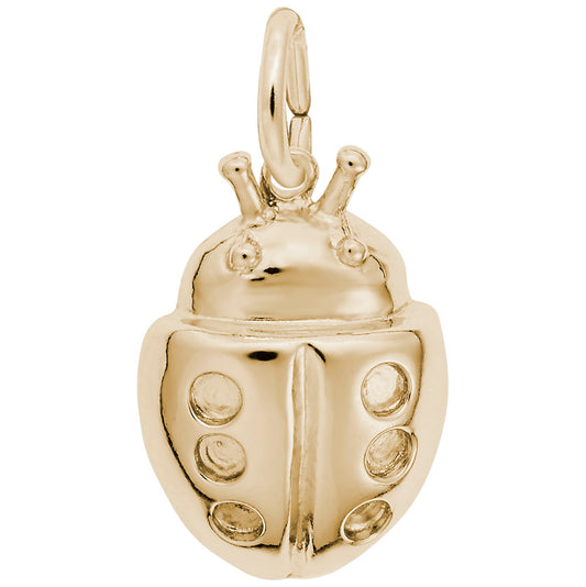 Spring Lucky Ladybug Charm - Cute Insect Jewelry for Good Luck 7829
