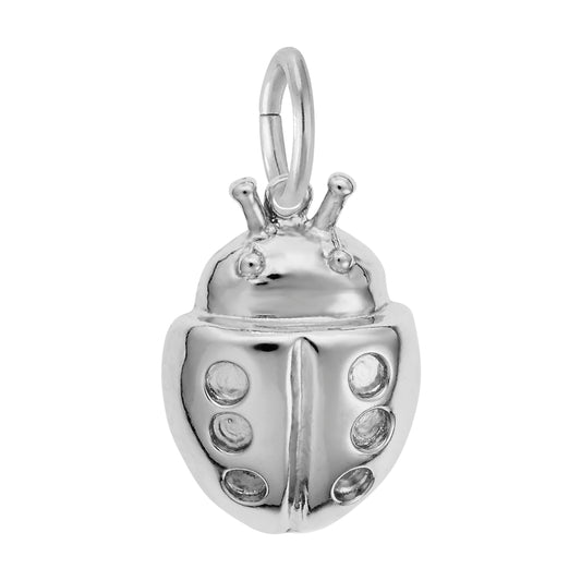 Lucky Ladybug Charm