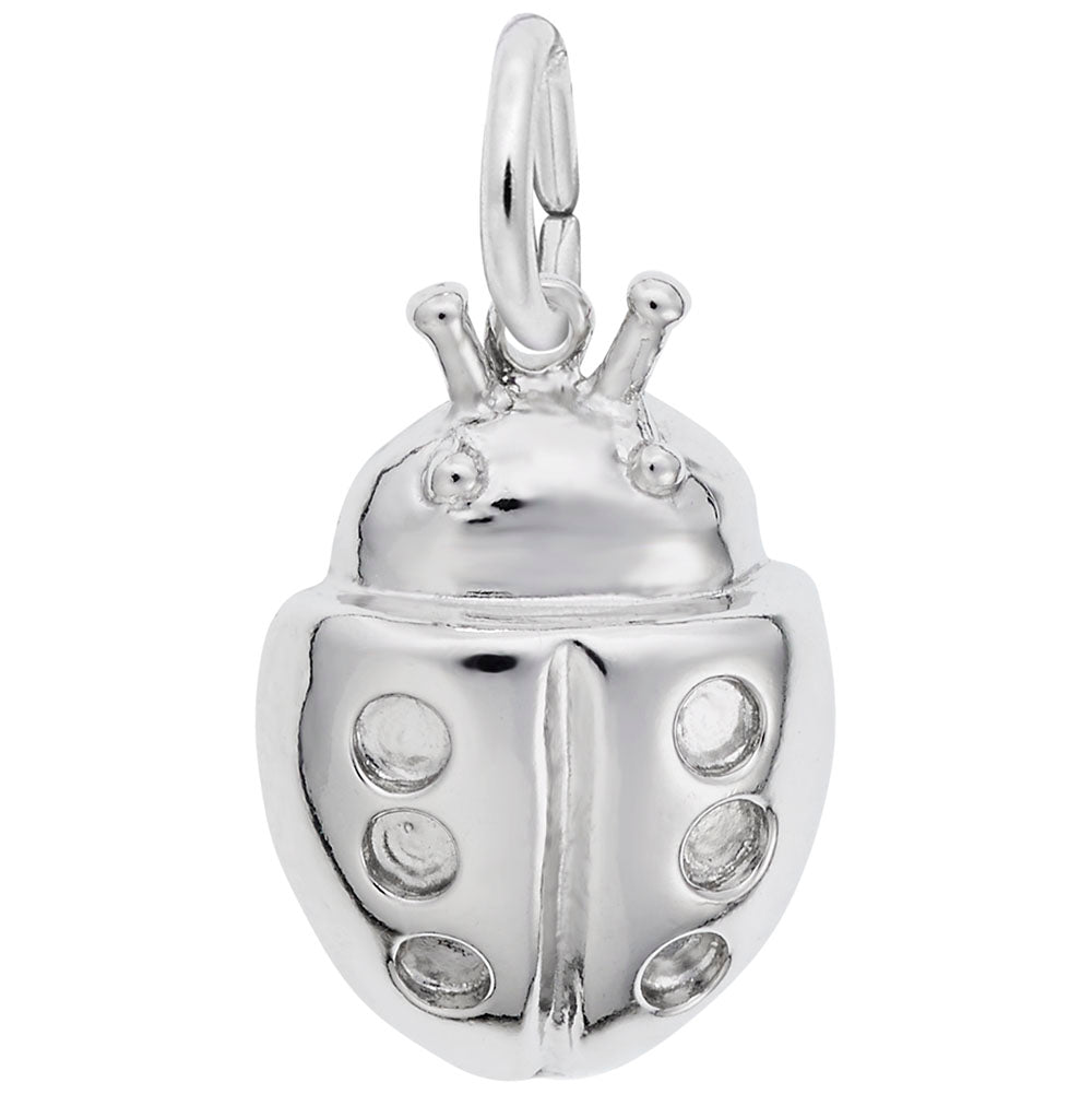 Spring Lucky Ladybug Charm - Cute Insect Jewelry for Good Luck 7829
