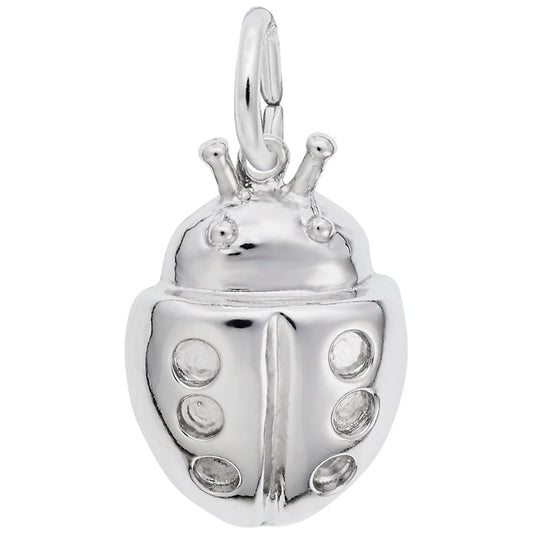 Spring Lucky Ladybug Charm - Cute Insect Jewelry for Good Luck 7829