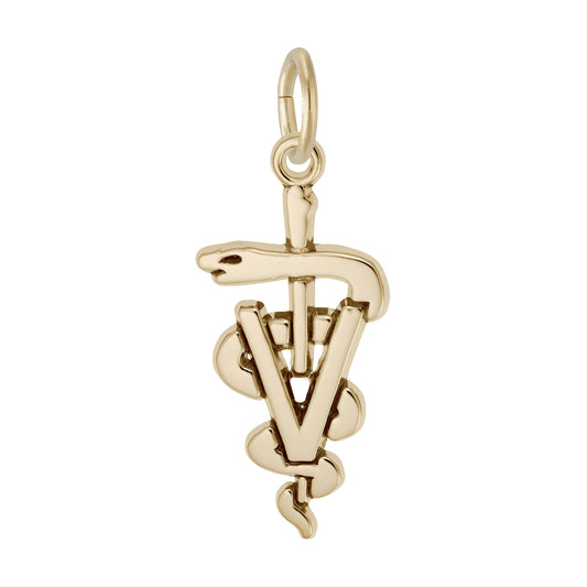 Veterinarian Medical Logo Charm