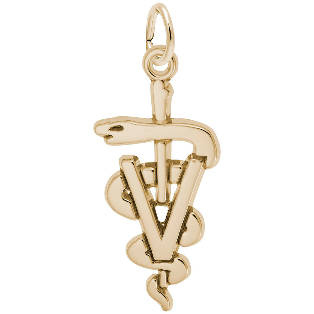 Veterinarian Medical Logo Charm for Pet Lovers and Professionals 7934