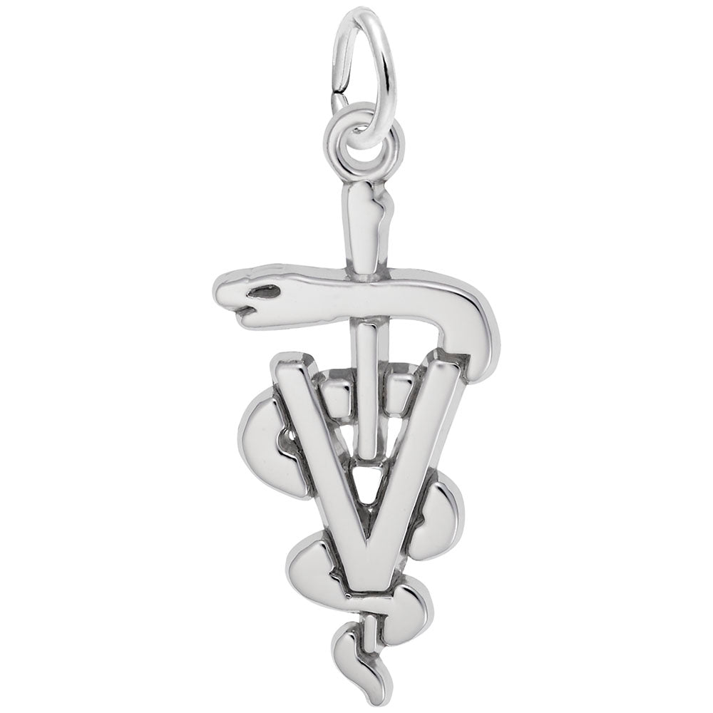 Veterinarian Medical Logo Charm for Pet Lovers and Professionals 7934