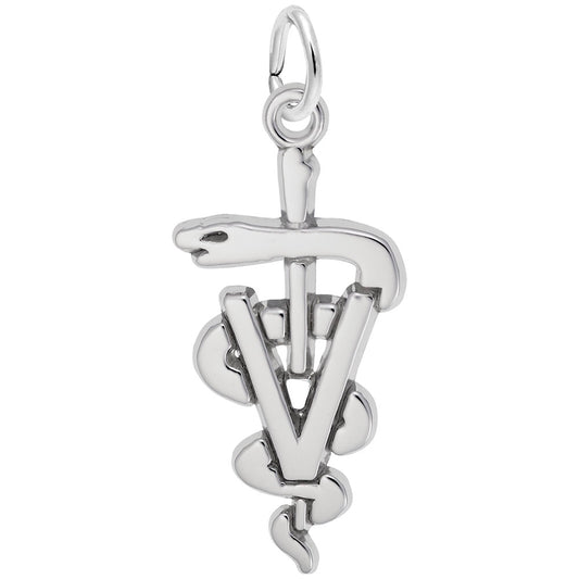 Veterinarian Medical Logo Charm for Pet Lovers and Professionals 7934