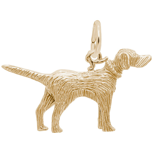 Setter Dog Charm