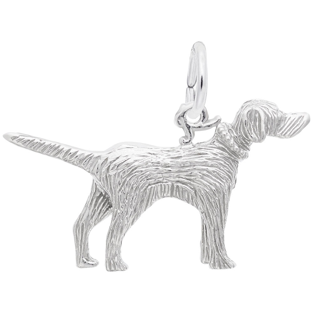 Setter Dog Charm - Adorable Pet Jewelry for Dog Lovers 8102