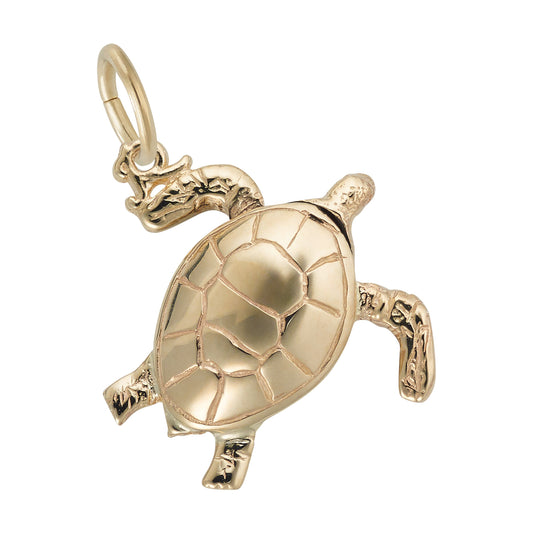 Sea Turtle Charm