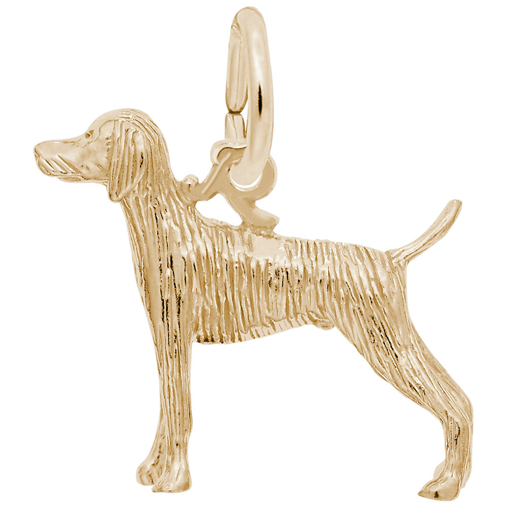 Elegant Weimaraner Dog Charm - Perfect Gift for Dog Lovers 8225