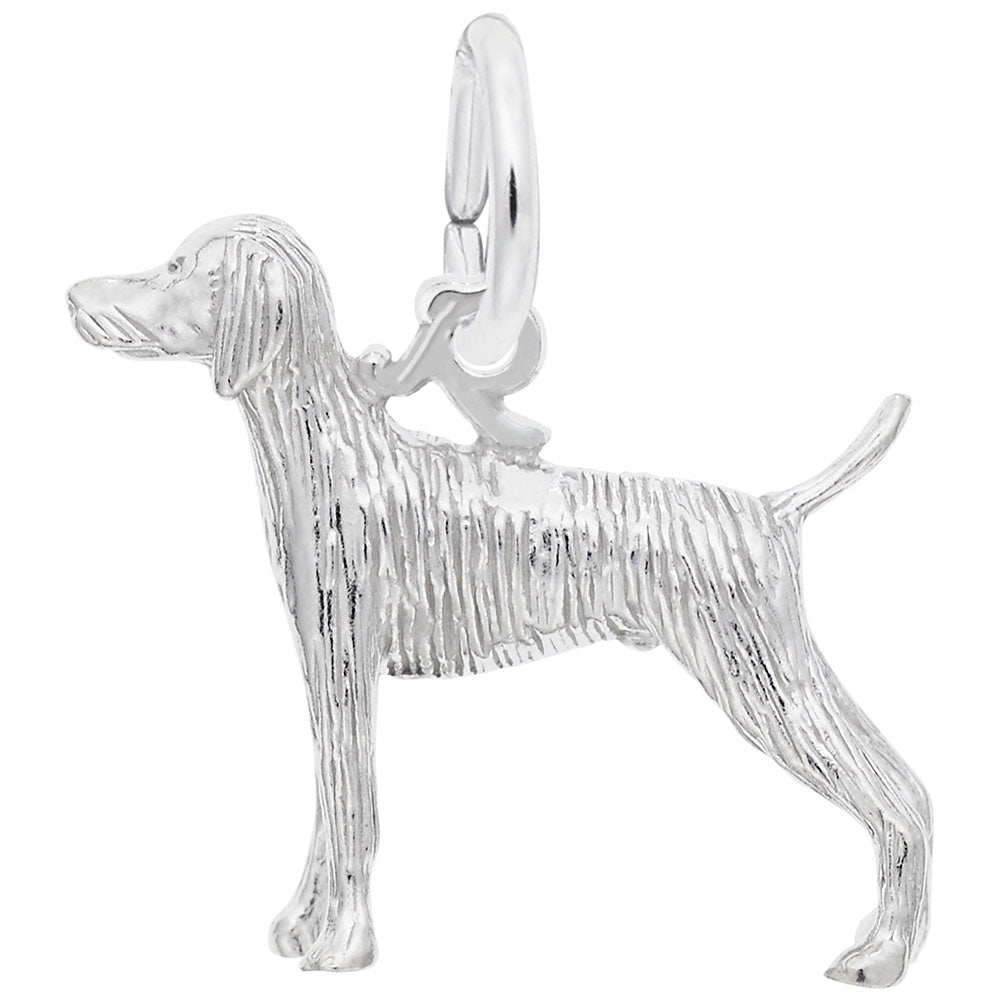 Elegant Weimaraner Dog Charm - Perfect Gift for Dog Lovers 8225