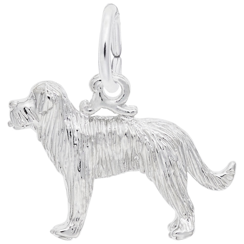 St. Bernard Dog Charm - Adorable Pet Jewelry for Dog Lovers 8235