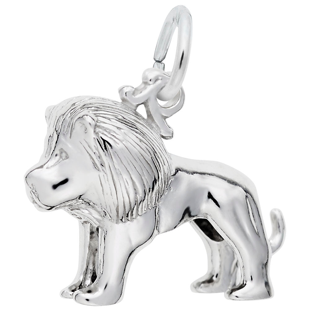 Small Lion Charm - Adorable Zoo Animal Jewelry for Pet Lovers 8242