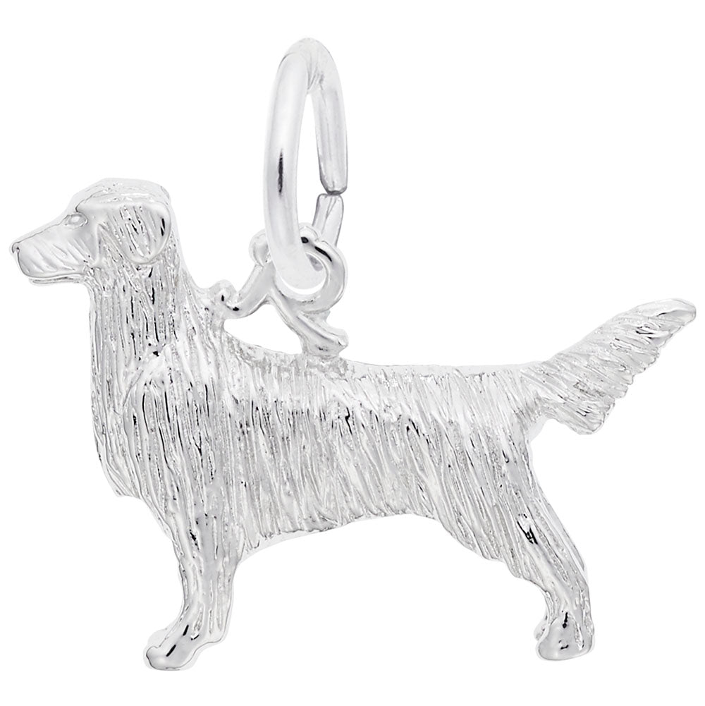 Golden Retriever Dog Charm - Adorable Pet Jewelry for Dog Lovers 8247