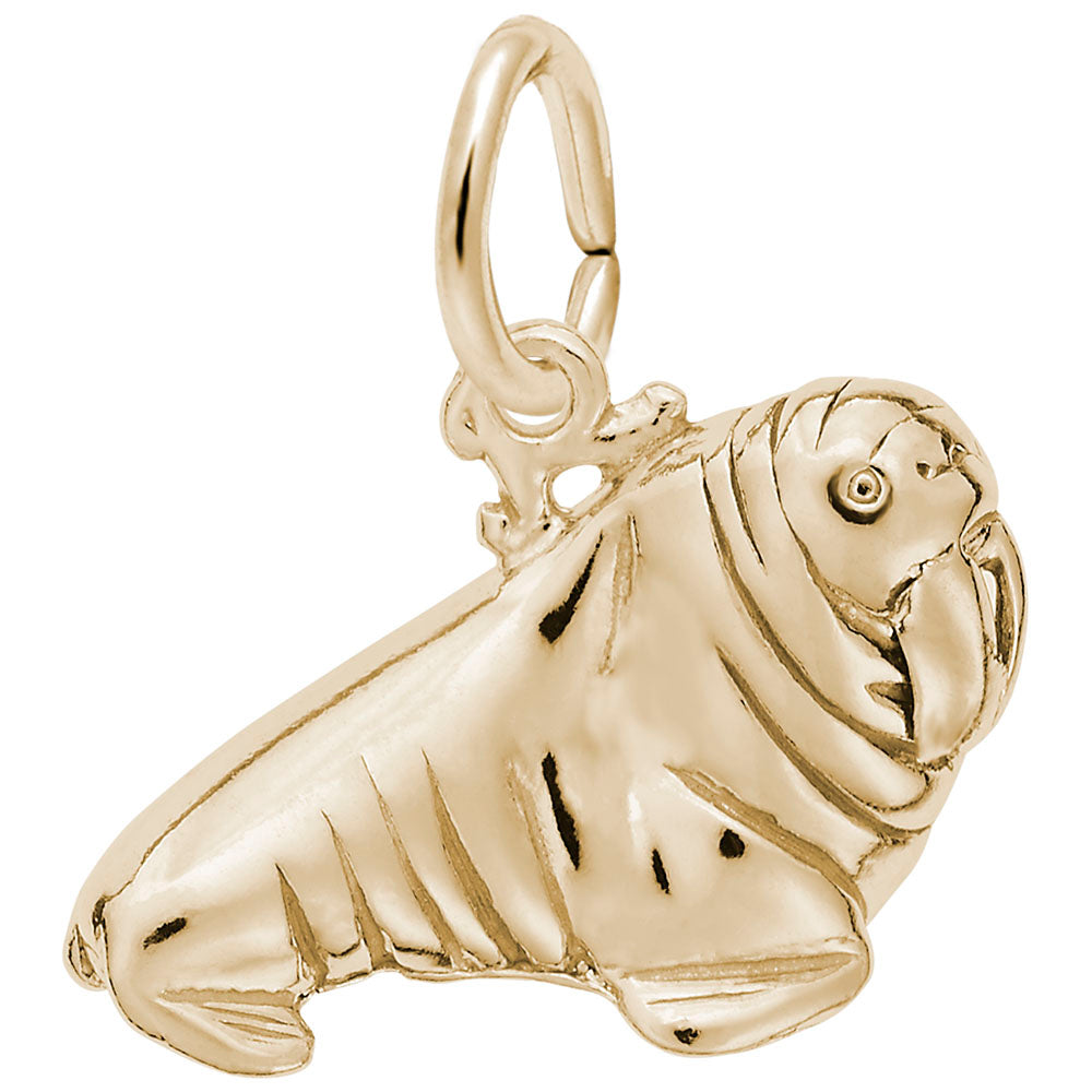 Walrus Charm - Unique Nautical Sea Life Jewelry for Ocean Lovers 8264