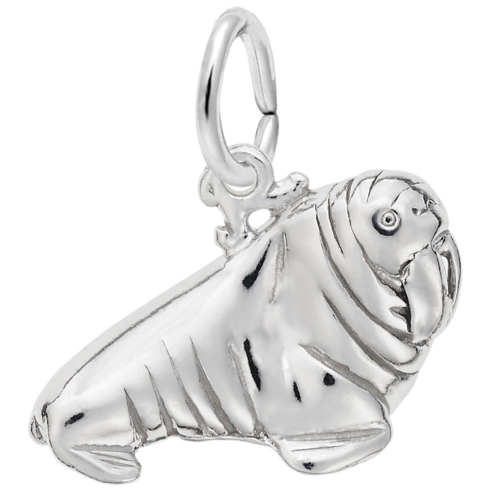 Walrus Charm - Unique Nautical Sea Life Jewelry for Ocean Lovers 8264