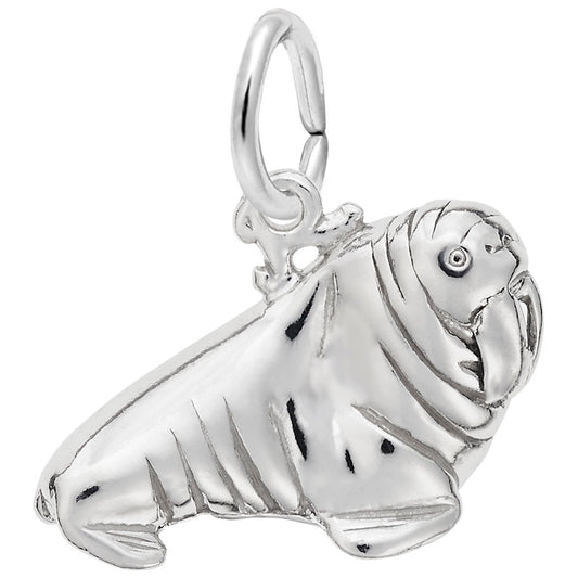 Walrus Charm - Unique Nautical Sea Life Jewelry for Ocean Lovers 8264