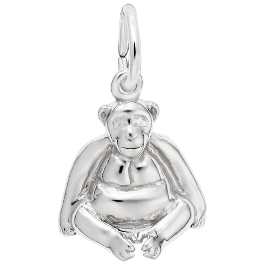 Sitting Monkey Charm
