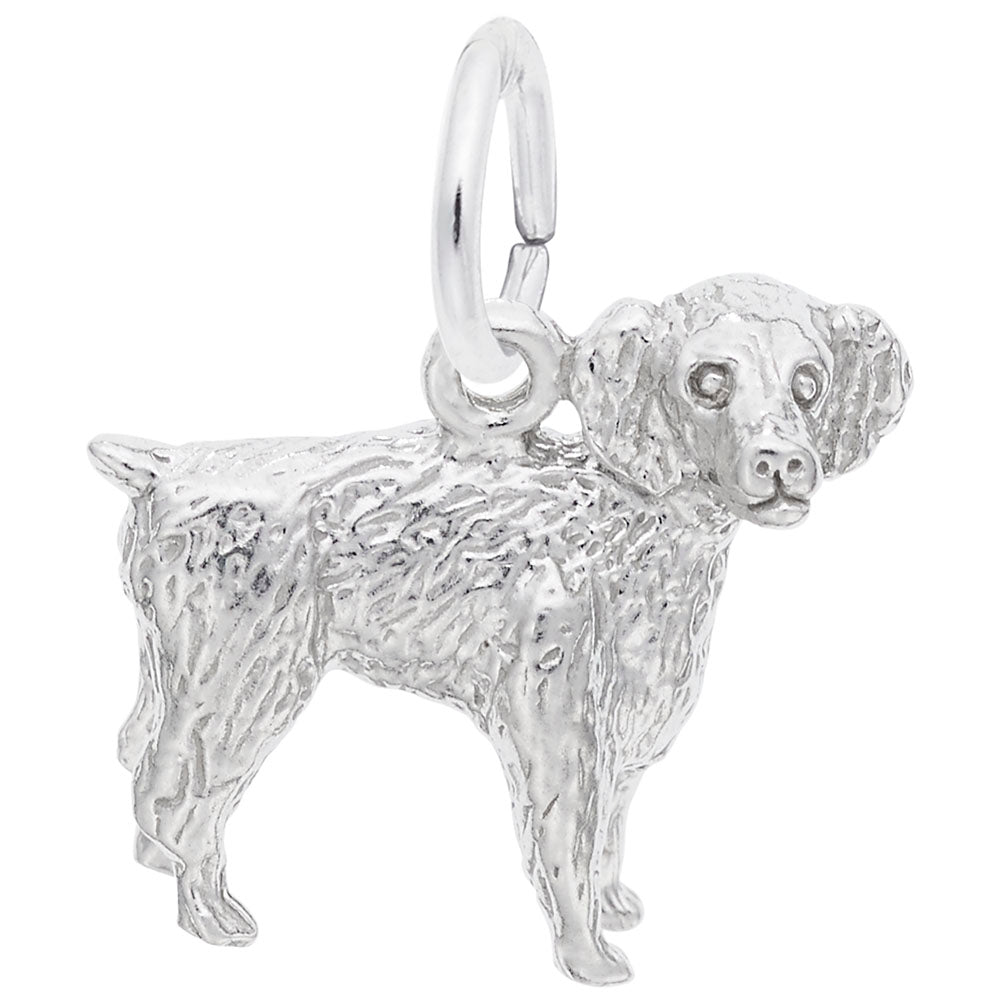 Boykin Spaniel Dog Charm - Adorable Pet Jewelry for Dog Lovers 8476