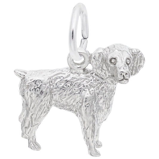 Boykin Spaniel Dog Charm - Adorable Pet Jewelry for Dog Lovers 8476