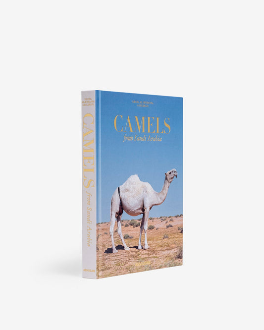 Camels from Saudi Arabia (Classic)