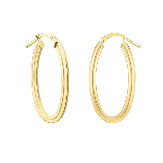 Royal Chain 14K Gold Oval Concentric Hoops ER13893