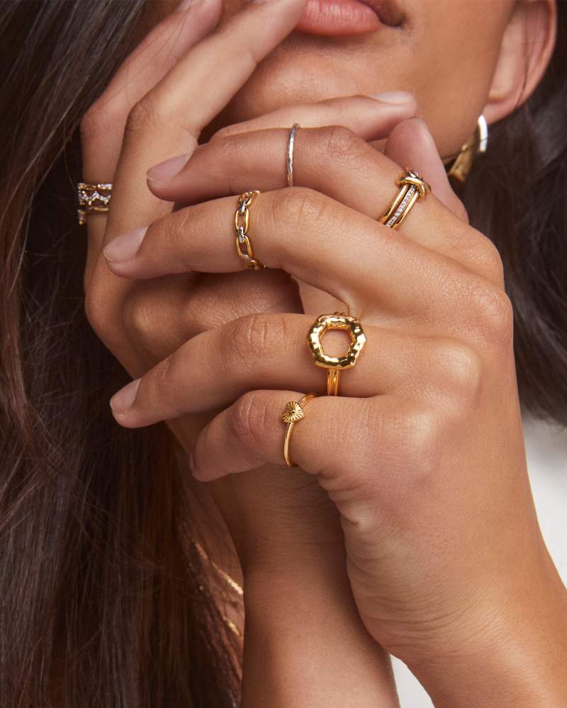Wren Band Ring in Mixed Metal