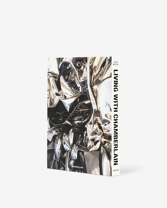 Living with Chamberlain, Art in Residence