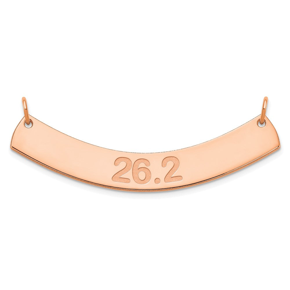 SS/Rose-plated Medium ARIAL ROUNDED Curved Bar Necklace XNA1239RP
